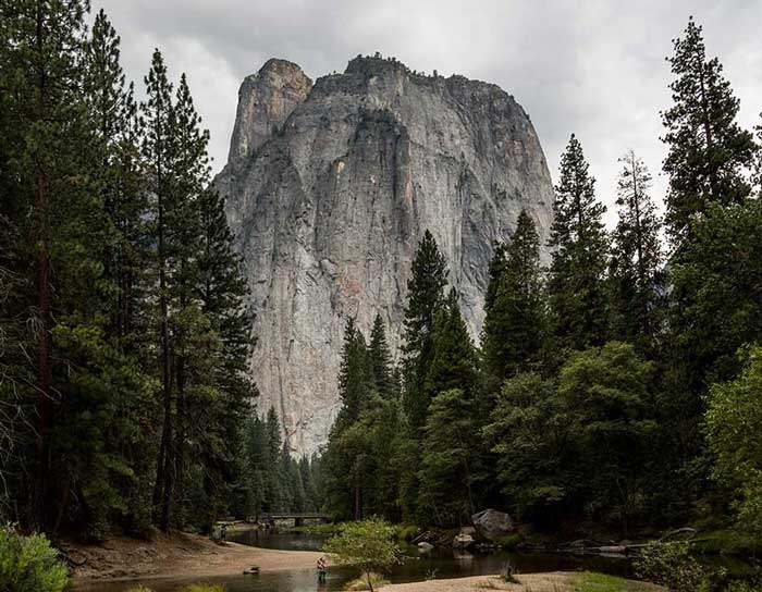 5 Reasons Your Small Business Needs a Modern Website in 2026