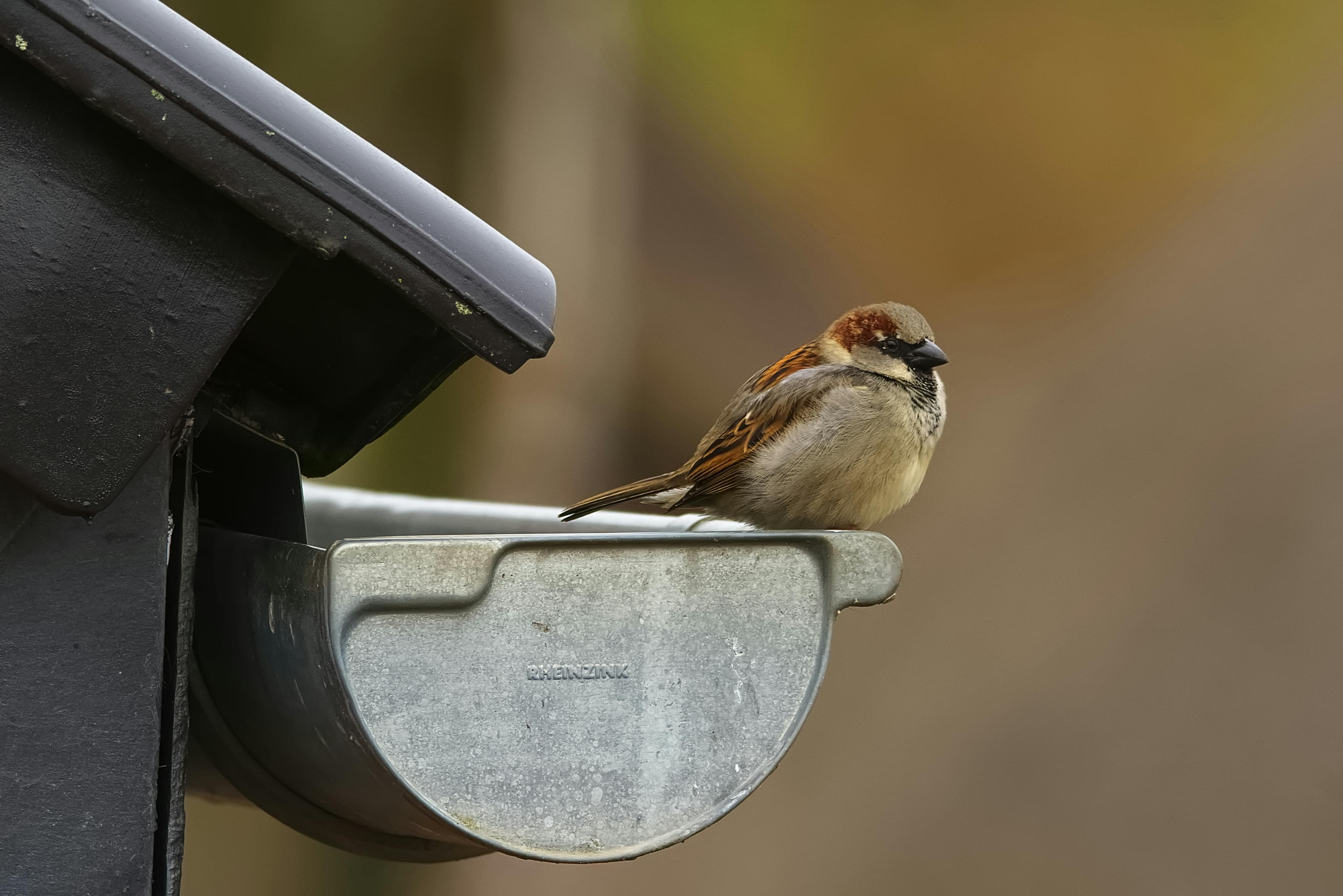 We Get It — You're Too Busy to Chase Leads.